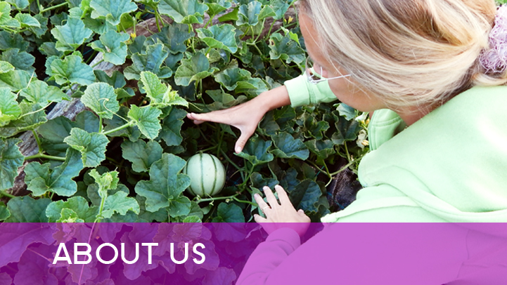 About us - Alex in melonfield