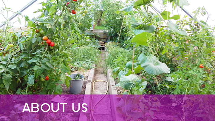 About us - green house