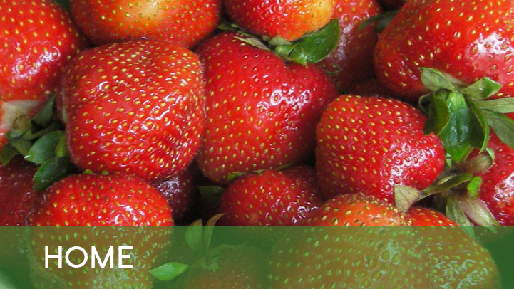 Home - strawberries