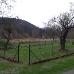20141129_133315